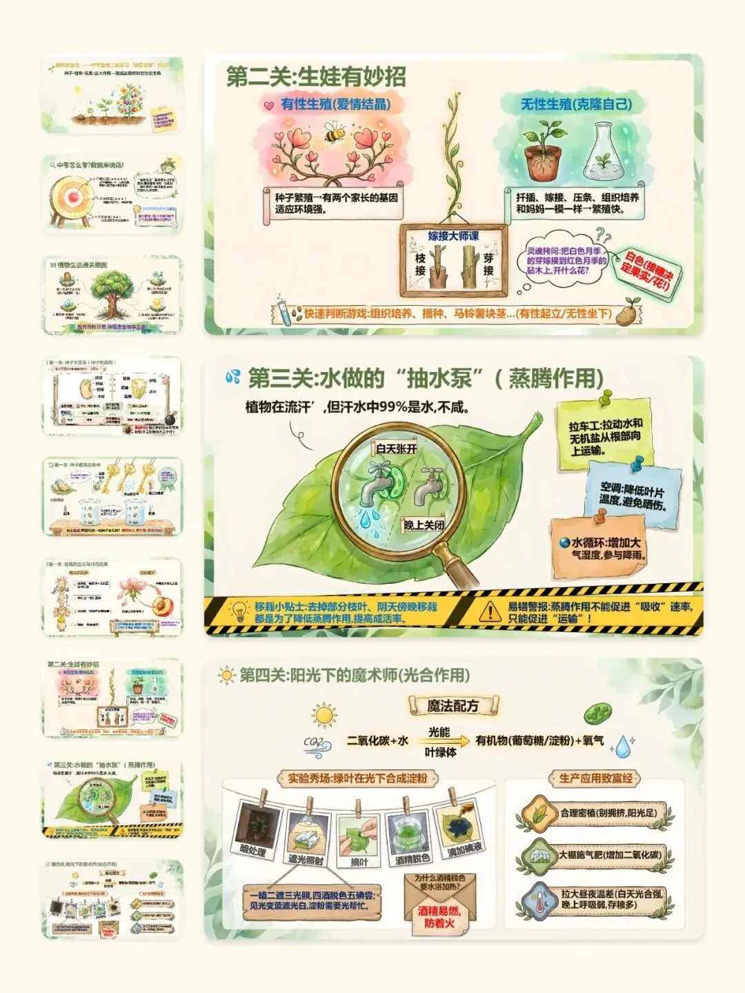 中考生物终极复习课件:主题四 植物的生活 第4张