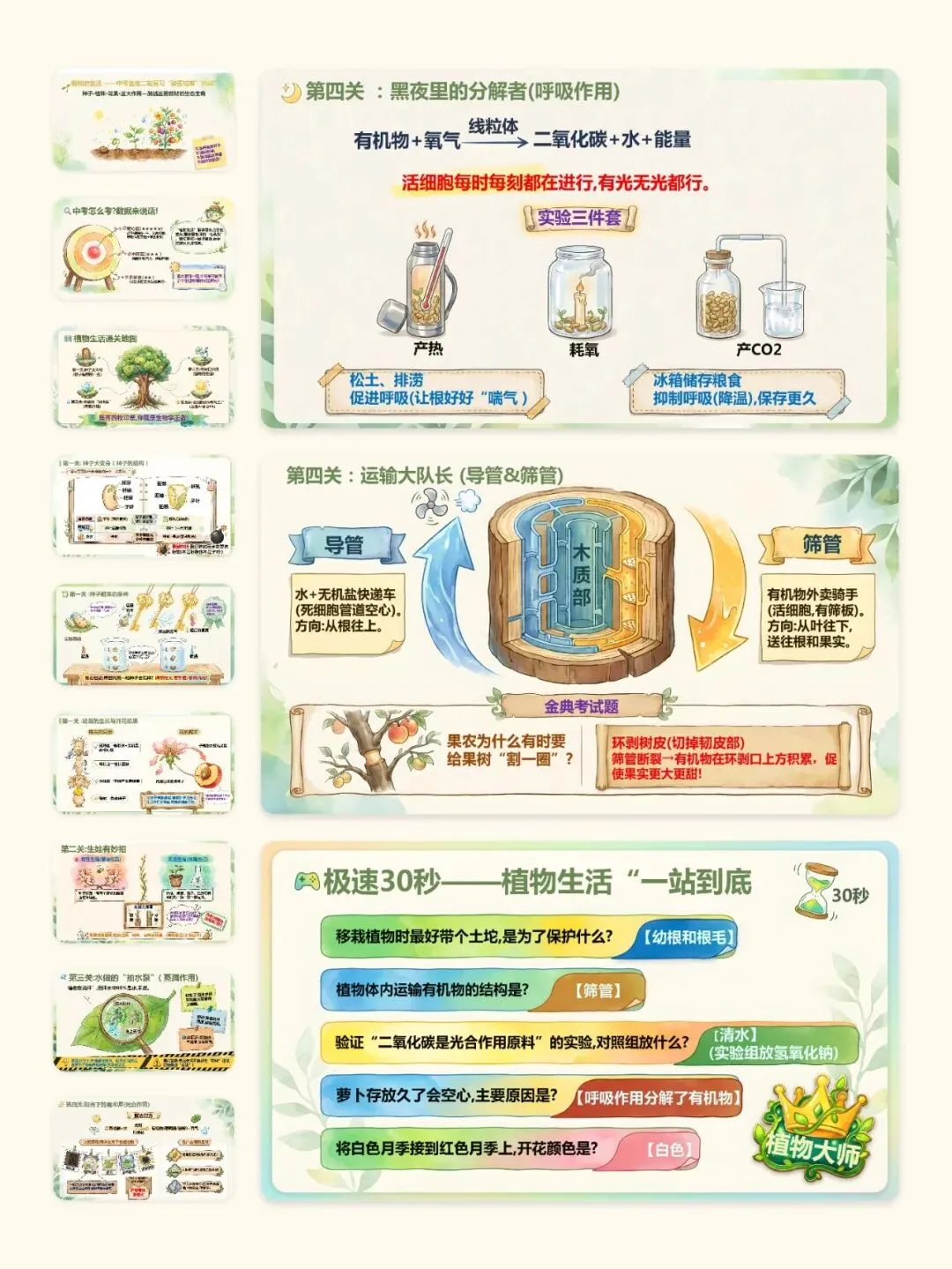 中考生物终极复习课件:主题四 植物的生活 第5张