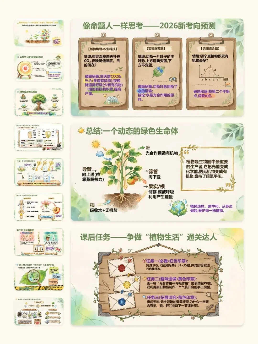 中考生物终极复习课件:主题四 植物的生活 第6张