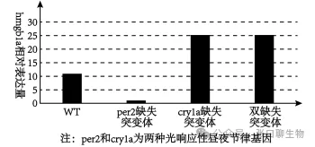 山东省日照市2026届高三下学期模拟考试生物学答案及解析 ⊙ 第4张 山东省日照市2026届高三下学期模拟考试生物学答案及解析 ⊙ 第4张