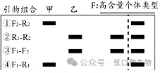 山东省日照市2026届高三下学期模拟考试生物学答案及解析 ⊙ 第19张 山东省日照市2026届高三下学期模拟考试生物学答案及解析 ⊙ 第19张