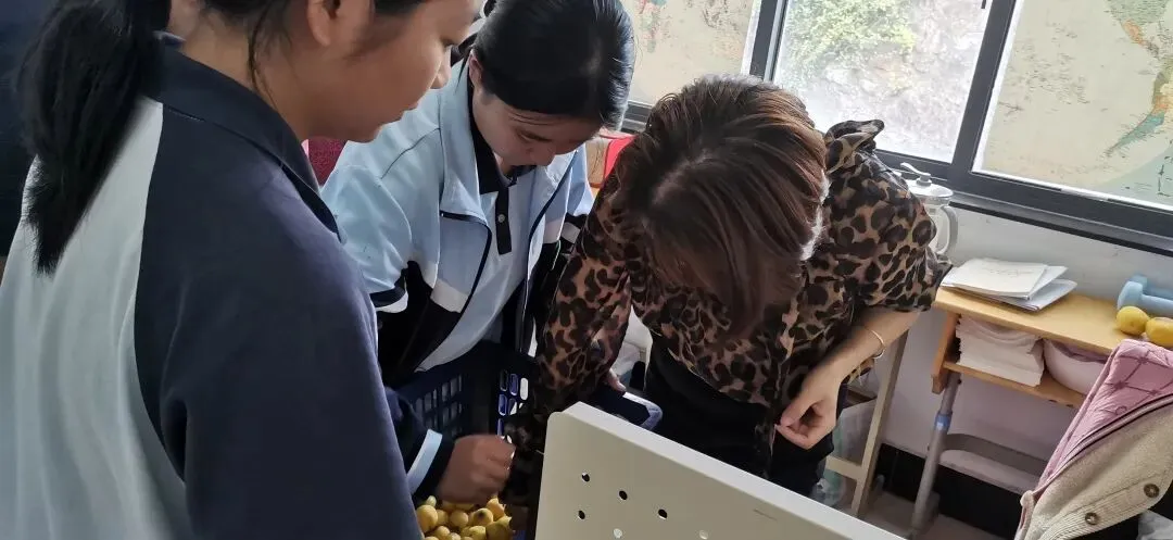 摘金色枇杷,品奋斗甘甜;燃青春斗志,赢中考辉煌-第17张图片-四季读书网 摘金色枇杷,品奋斗甘甜;燃青春斗志,赢中考辉煌-第17张图片-四季读书网