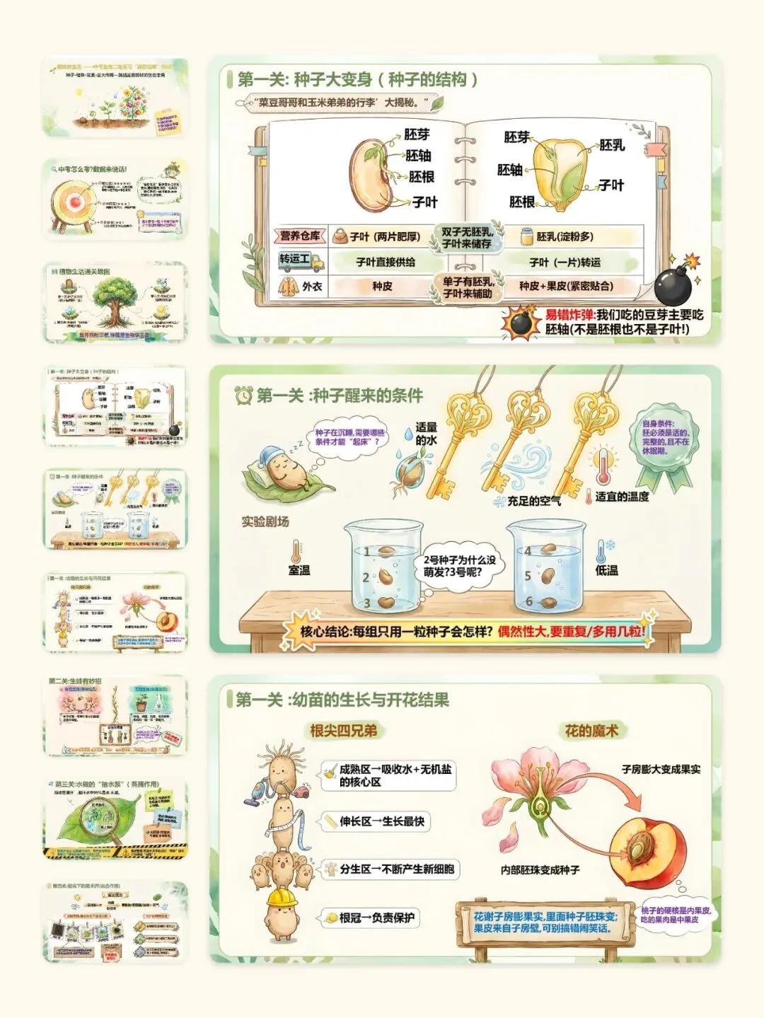 中考生物终极复习课件:主题四 植物的生活-第4张图片-四季读书网 中考生物终极复习课件:主题四 植物的生活-第4张图片-四季读书网