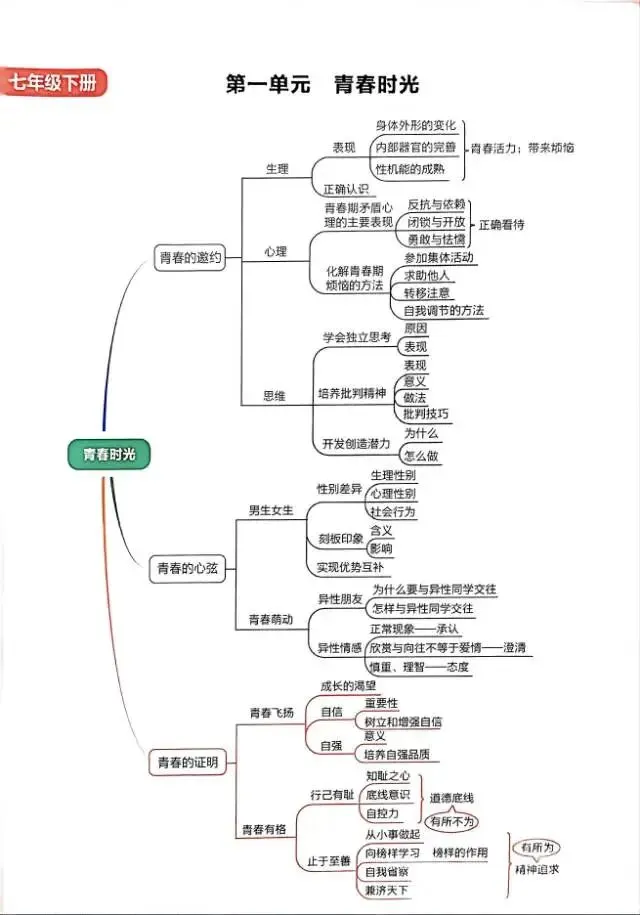 【中考】道德与法治,法制篇,必考收藏-第1张图片-四季读书网