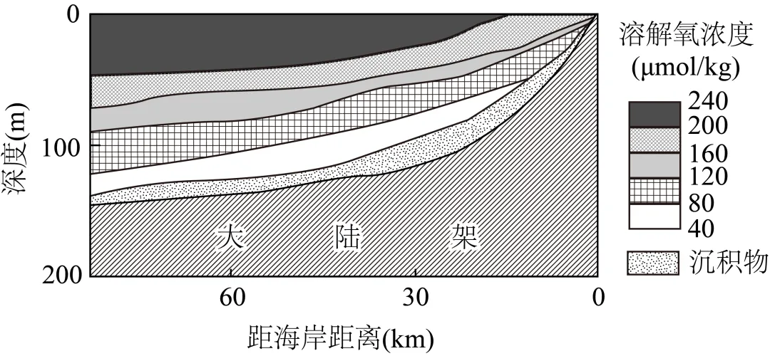 【评分细则】2025年山东省高考地理真题评分细则/评分标准 第6张 【评分细则】2025年山东省高考地理真题评分细则/评分标准 第6张