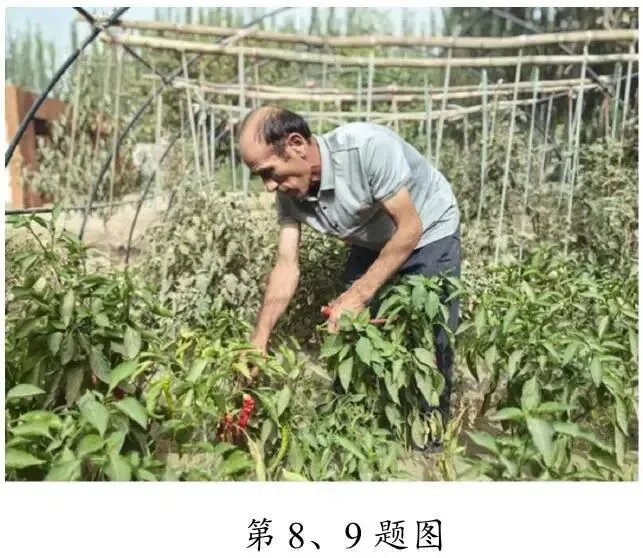 县域联盟5月地理试卷 第5张