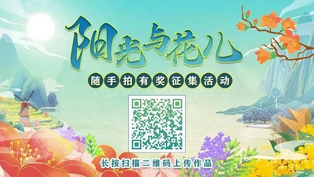 中考结束,升学录取分批次进行 第4张 中考结束,升学录取分批次进行 第4张