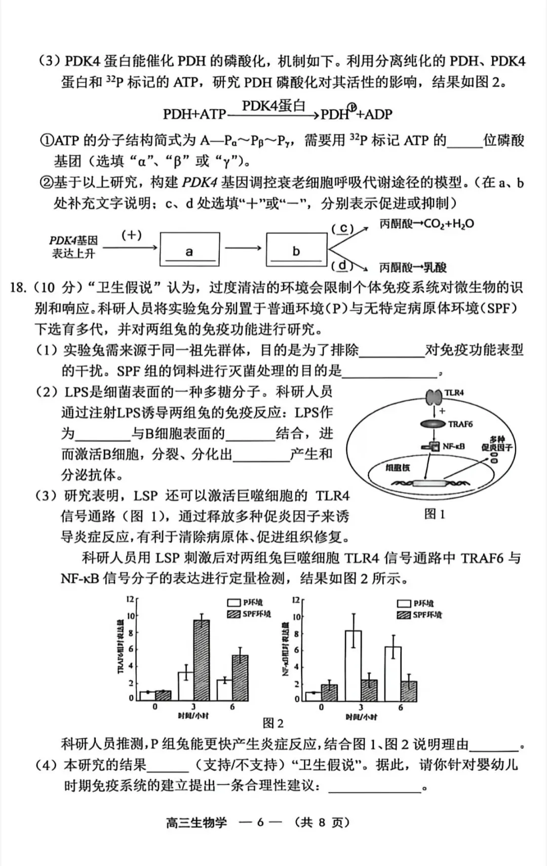 2026年福州高三5月质检化学试卷、生物学试卷和参考答案(福州三检) 第20张