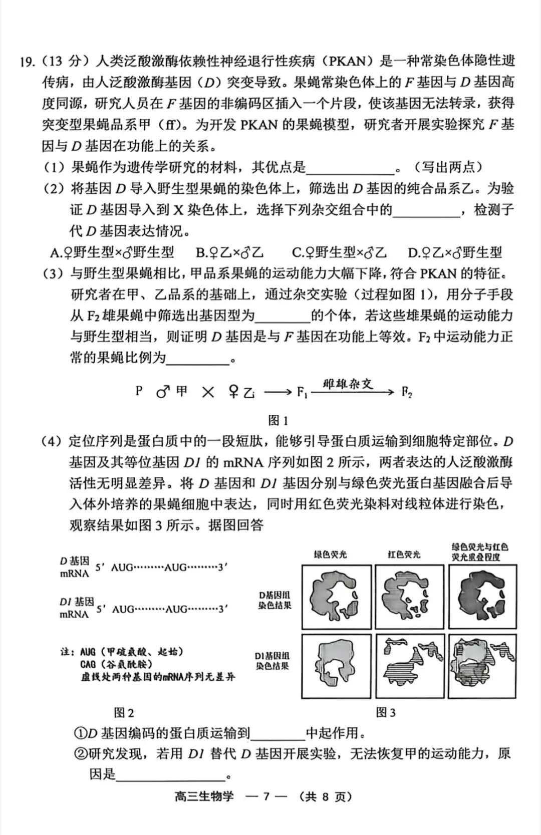 2026年福州高三5月质检化学试卷、生物学试卷和参考答案(福州三检) 第21张