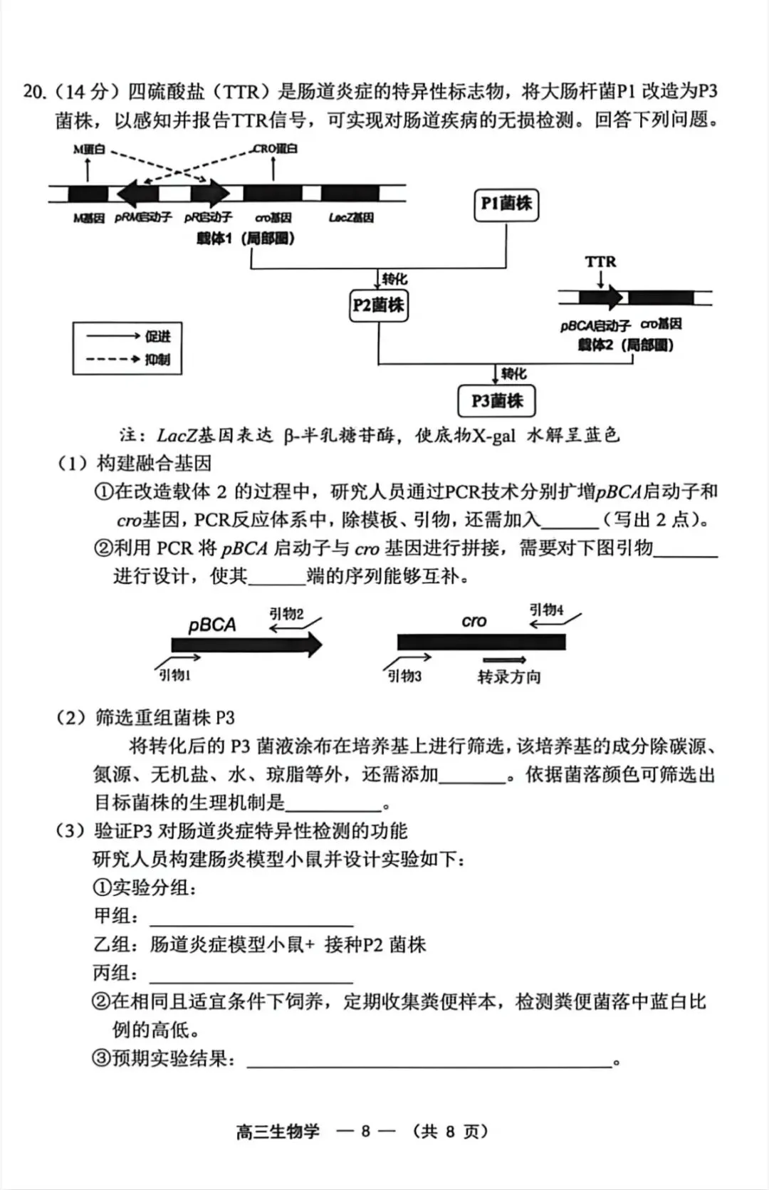 2026年福州高三5月质检化学试卷、生物学试卷和参考答案(福州三检) 第22张