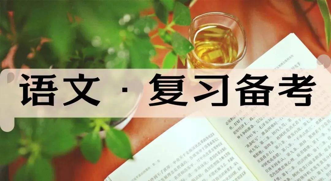 语文期末复习总动员:真题精选+“练习-批改-讲解”陪跑营 第2张