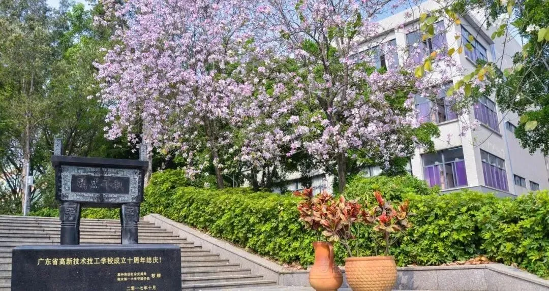 2026年中考填志愿必看丨佛山市高中录取分数线 第7张 2026年中考填志愿必看丨佛山市高中录取分数线 第7张