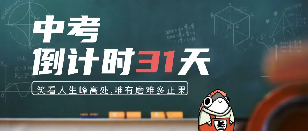 语文中考还剩30天,该如何复习? 第5张