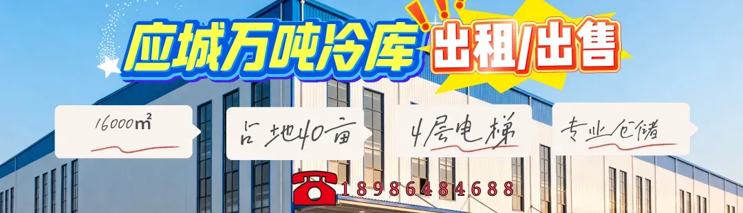 应城市2026年初中英语中考复习备考研讨会在我校圆满举行 第3张 应城市2026年初中英语中考复习备考研讨会在我校圆满举行 第3张