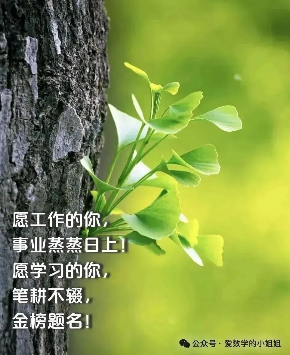 2025年全国各省高考真题带答案(全科)+全国高考真题分类汇编,文末直接下载 第15张
