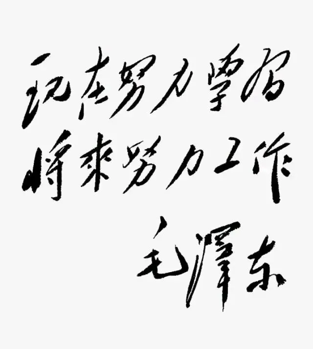 临近中考,家有中考的孩子,家长们怎么办? 第2张