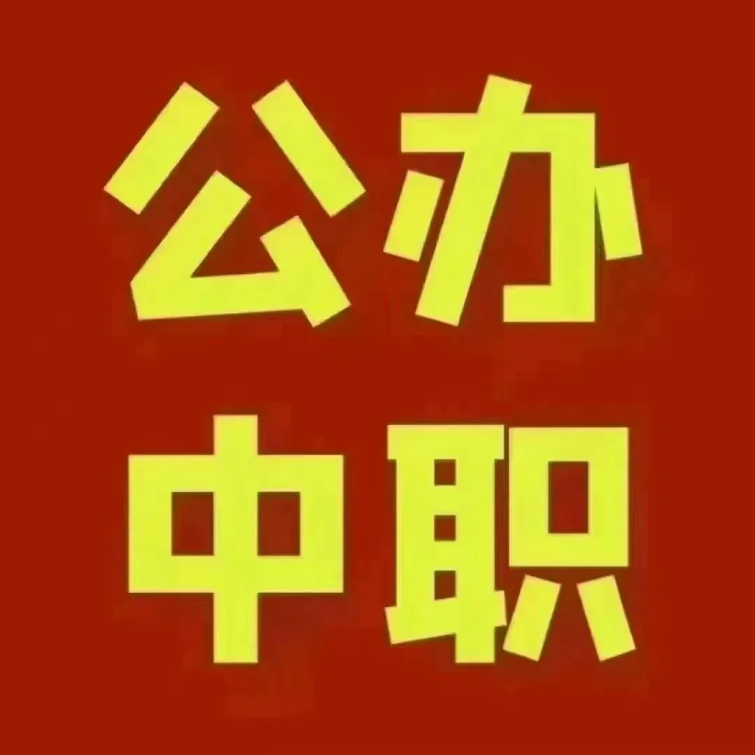 【规划升学·升学规划·中考篇】中考成绩不理想,普高无望,公办中职难,如何做好升学规划?达到弯道超车,实现人生价值与梦想.请看→ 第15张