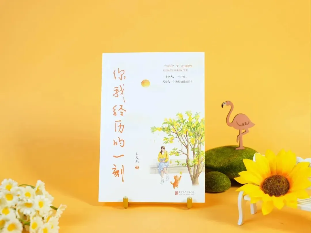 古诗鉴赏真题《雨后为山亭独卧》解析及答案 第1张
