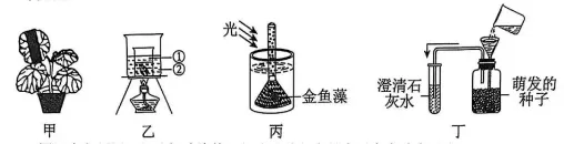 2025年南阳市初中学业水平考试试卷生物学(非选择题部分)(整理版) 第1张