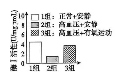 2025年南阳市初中学业水平考试试卷生物学(非选择题部分)(整理版) 第4张