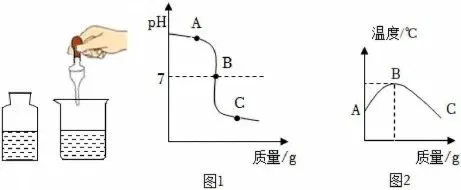 中考数据传感器各种玩法—pH版 第8张