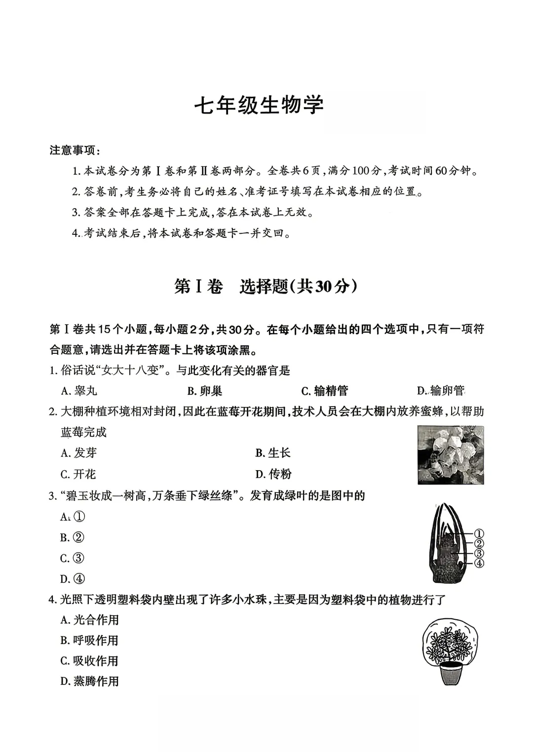 【晋文源】最新初一七年级期末试卷和答案 第10张