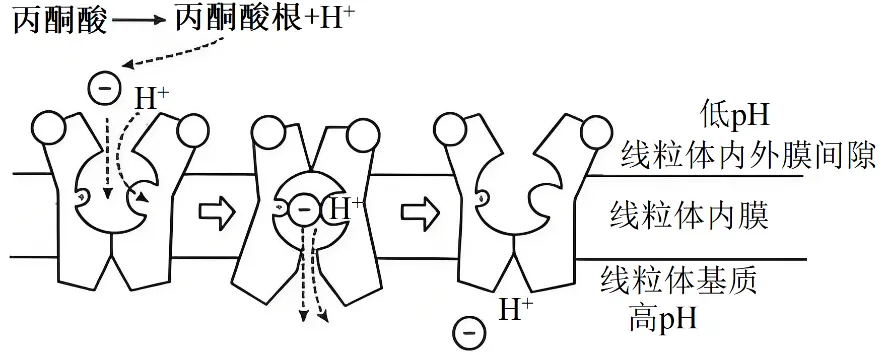 2025年陕晋青宁四省高考生物学真题和答案(附各省下载) ⊙ 第8张