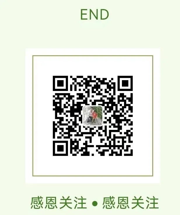 不用中考,还有公办高中读,但孩子放弃这个选项,我们尊重她的选择 第1张
