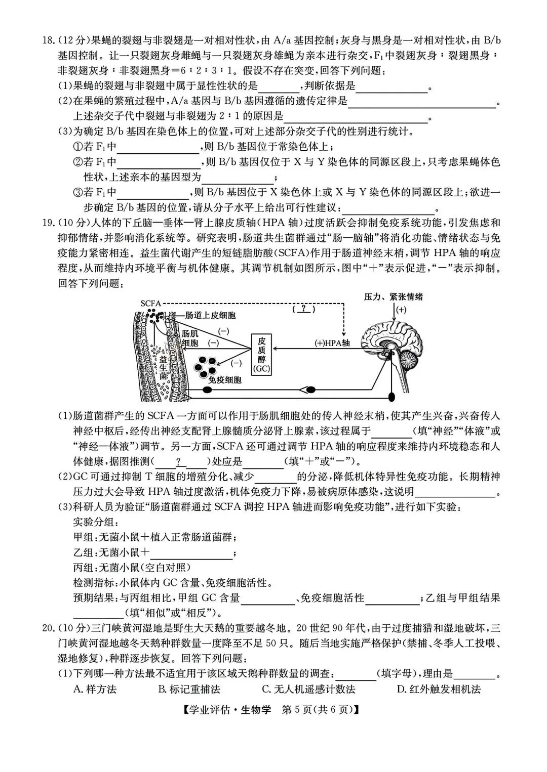 【试卷/高考】2025-2026九师联盟高三下5月生物(含答案)可下载 第5张