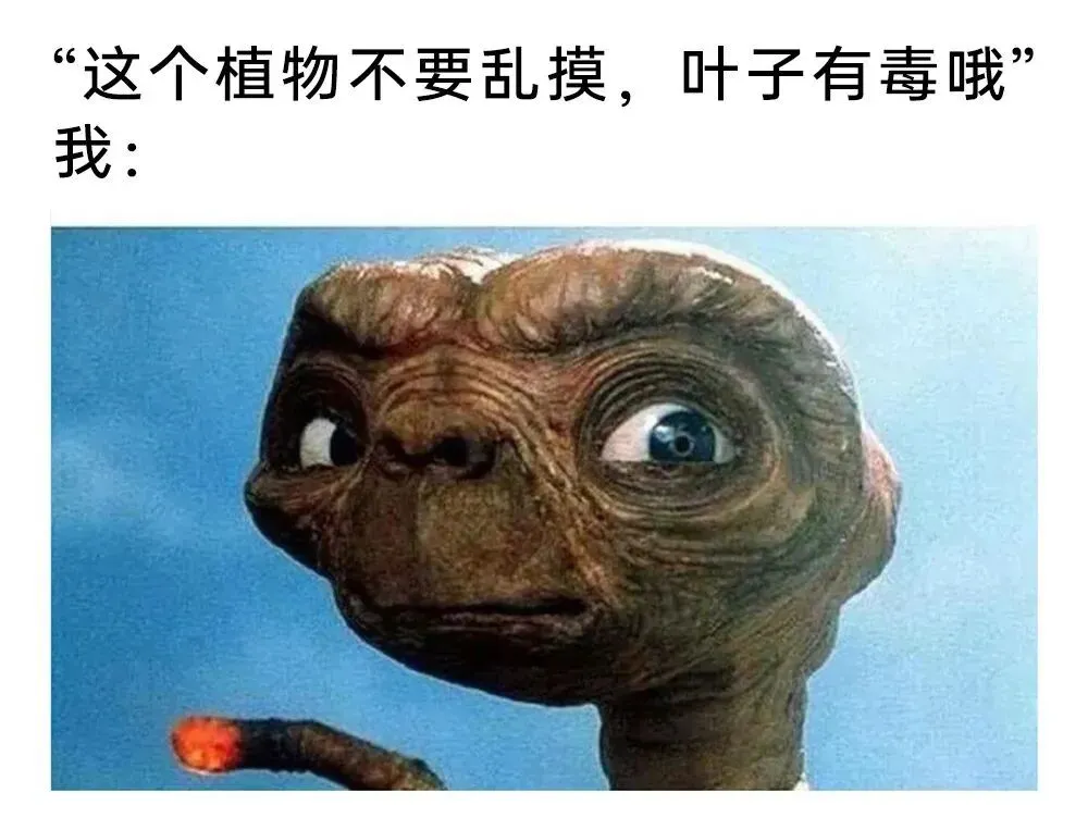 meme梗图第205期丨我将试卷留白就是想让老师能有多点时间陪陪家人 第12张