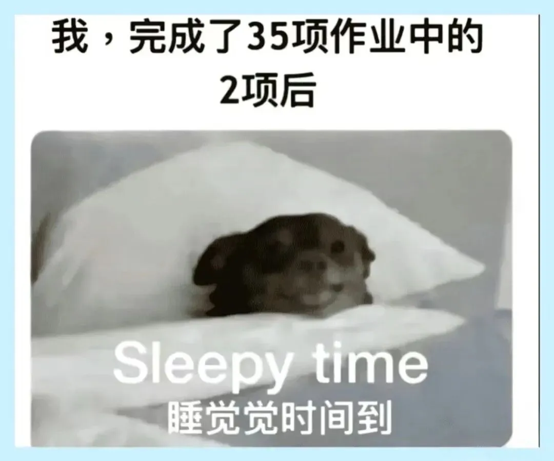 meme梗图第205期丨我将试卷留白就是想让老师能有多点时间陪陪家人 第17张