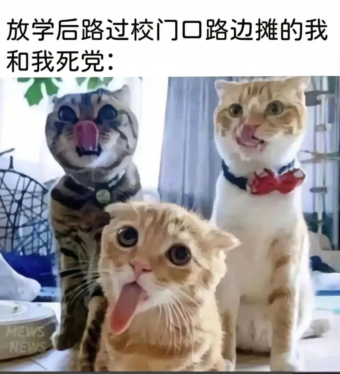 meme梗图第205期丨我将试卷留白就是想让老师能有多点时间陪陪家人 第18张