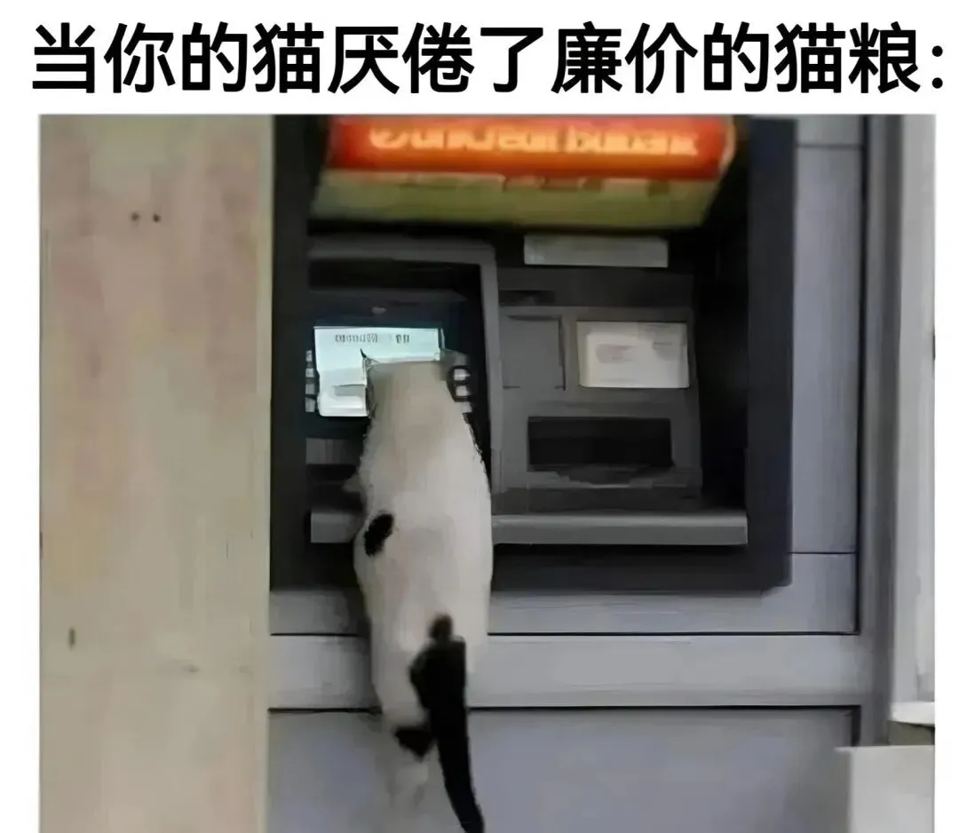 meme梗图第205期丨我将试卷留白就是想让老师能有多点时间陪陪家人 第19张