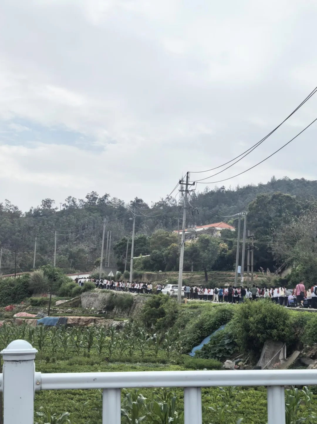 【年段在行动】凝心攀科峰,聚力战中考——我校初三年开展“励志登科”远足活动 第2张