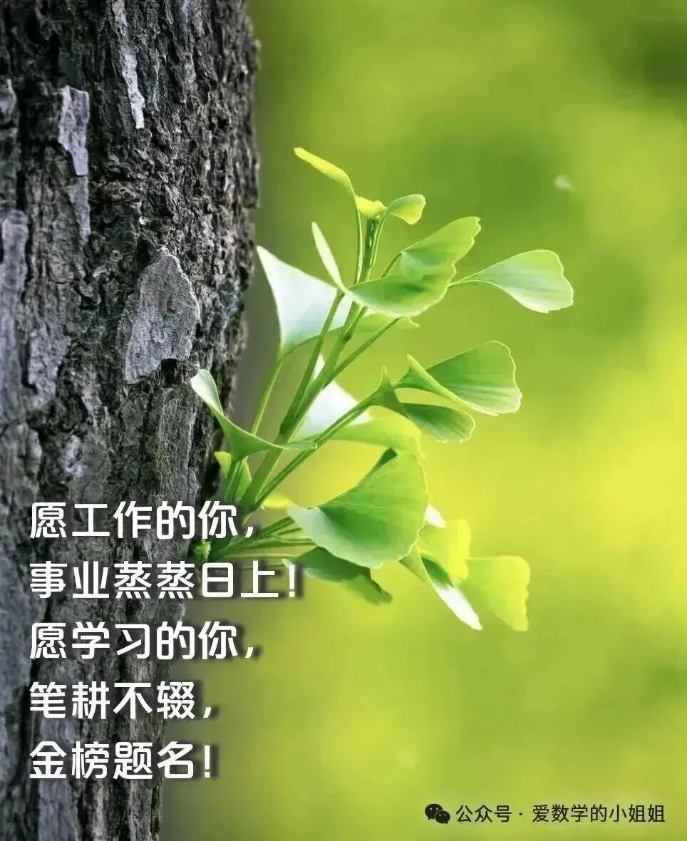 2026年4月山东省各地市中考数学一模真题试卷更新至83份+,精品解析版,涵盖全省各地市,权威模拟精准备考!持续更新……文末免费下载 第12张