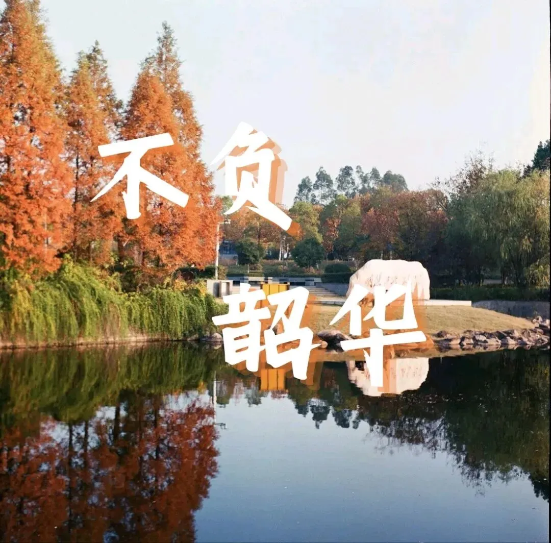 中考倒计时,以奋斗赴韶华 第1张