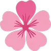 中考高考冲刺季|青春期女孩专属保健指南 第15张