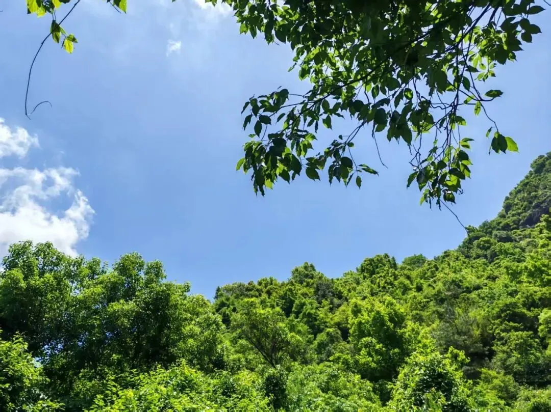 中考高频词汇每日一练 第1张