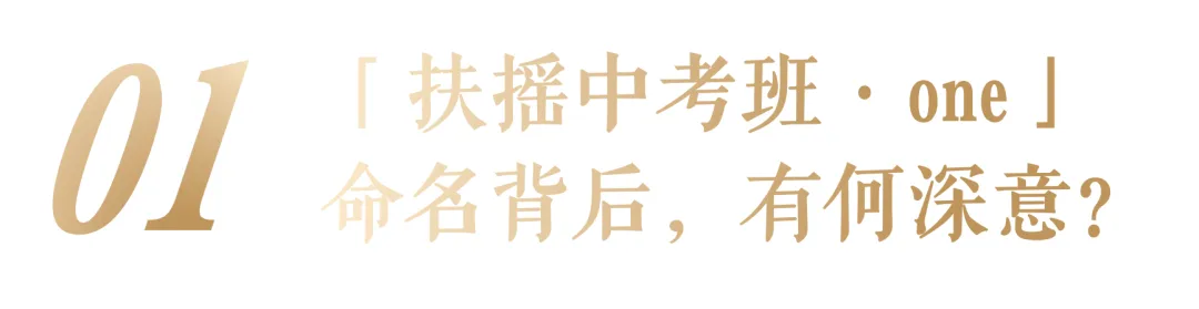 为什么一所国际化学校要开设「扶摇中考班·one」? 第3张