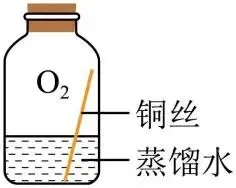 2026年中考化学重点专题复习:实验探究题 第25张