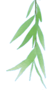 家校师同心 减压助中考 温情赴征程——墩尚中学九年级亲子团建活动圆满举行 第8张