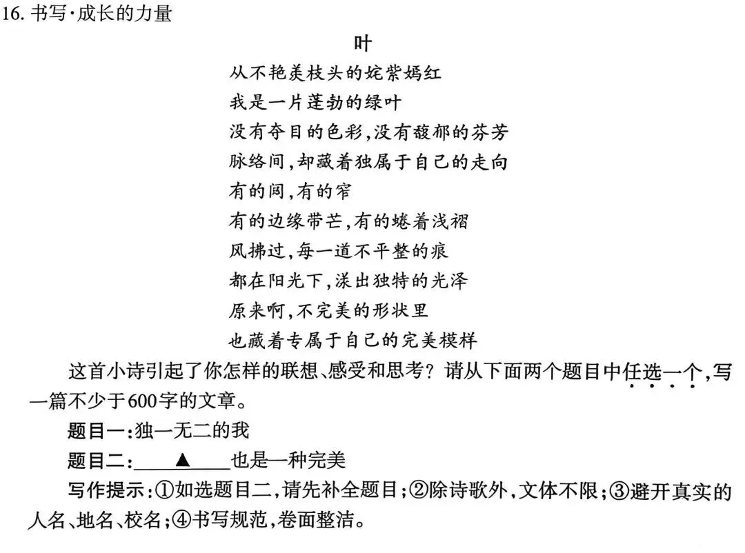 吃透《海底两万里》!|中考核心考点+历年中考题+预测题+写作运用 第17张