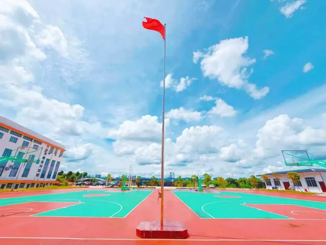 第二篇:科学填报!中考分数定位+择校选专业+志愿避坑全攻略 第1张