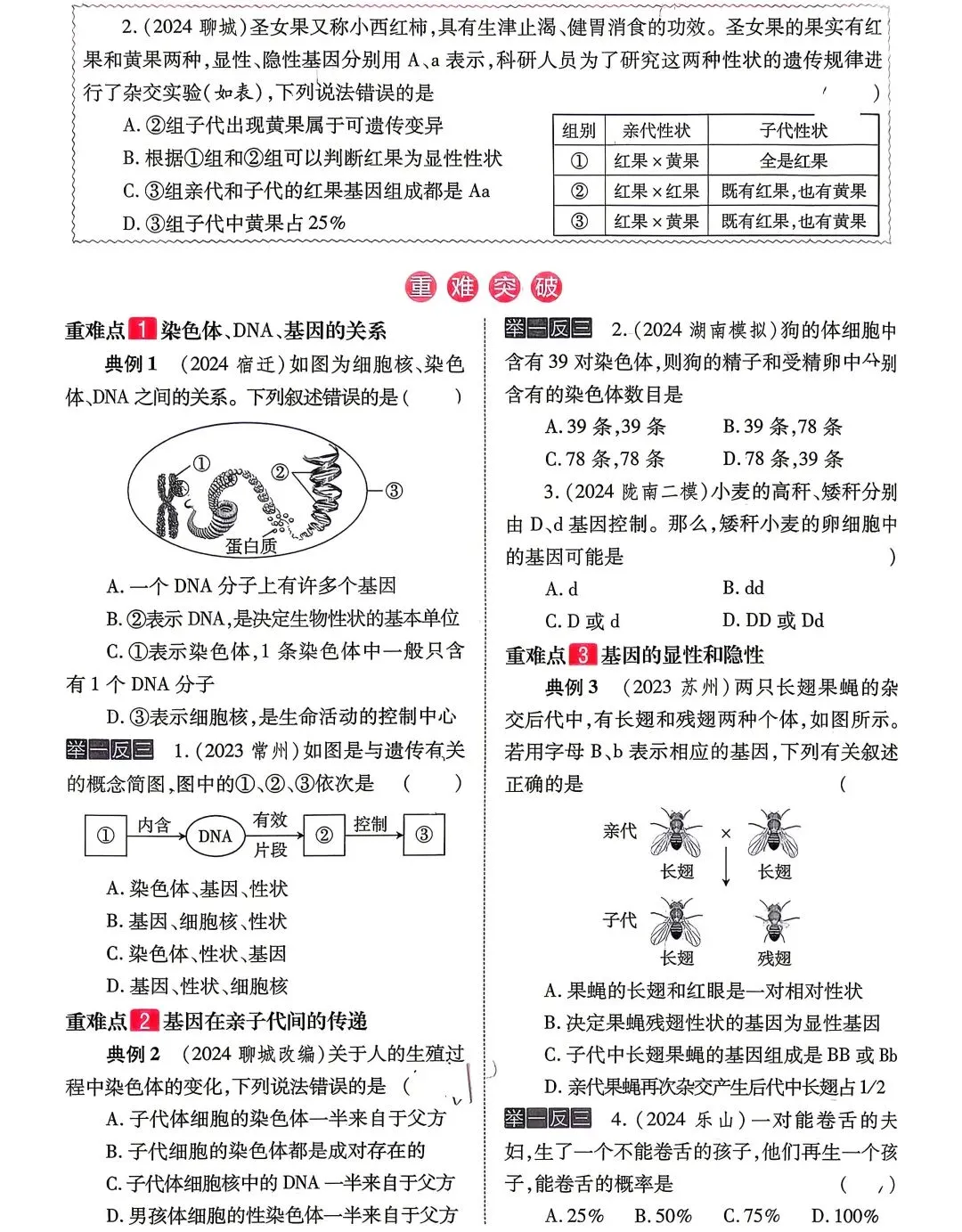 中考生物—基因组推断与概率计算技巧点拨 第2张 中考生物—基因组推断与概率计算技巧点拨 第2张