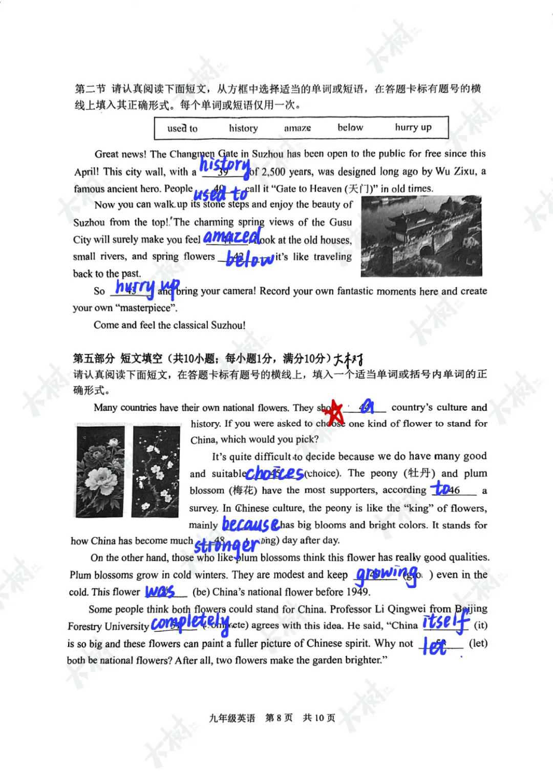 【25一模】姑苏区一模英语试卷答案 第11张