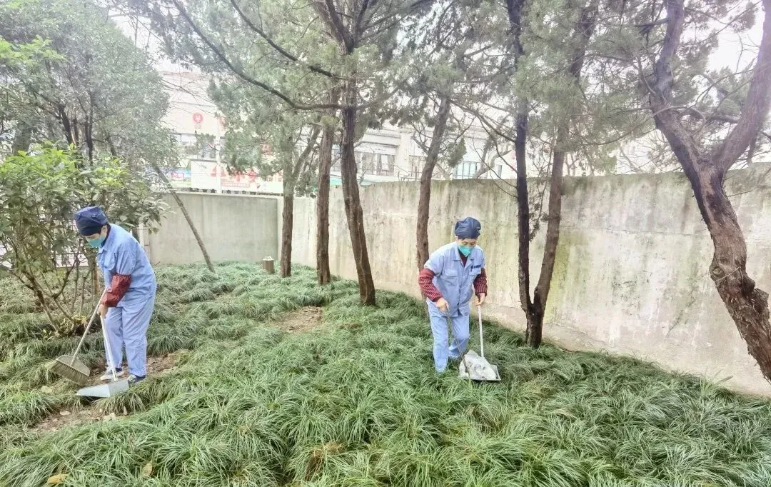 文明创建|又是一轮“模拟考” 全力以赴将创城融入日常 第15张 文明创建|又是一轮“模拟考” 全力以赴将创城融入日常 第15张