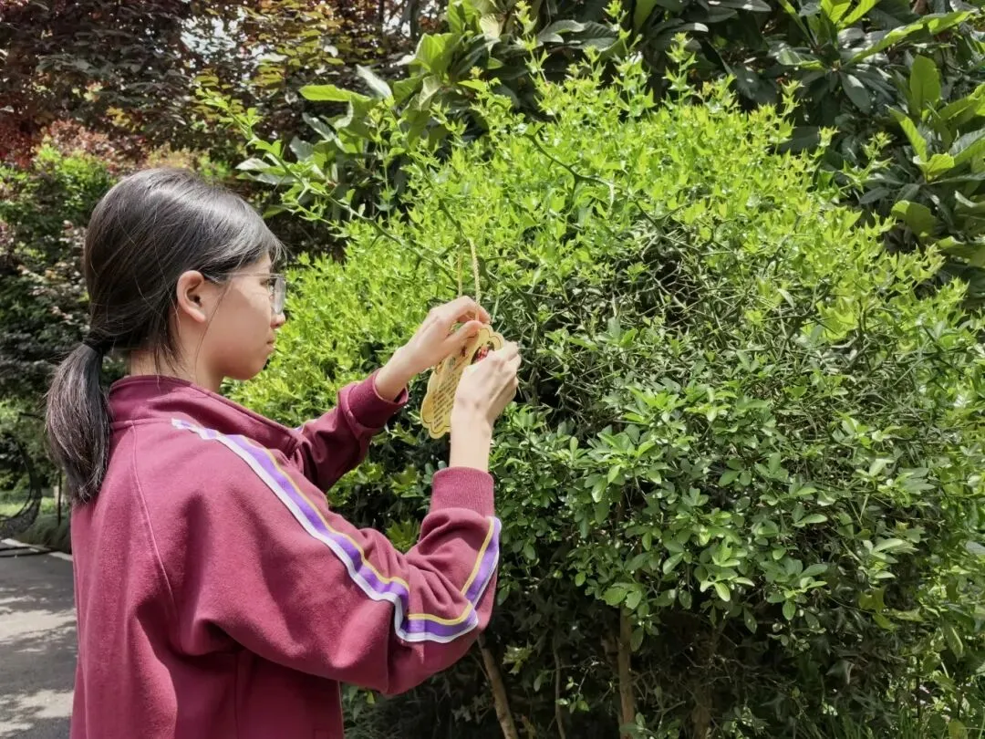 中考400多分的孩子,有没有机会上好大学?杭州这所老牌高中用实力回答,校长将做客助考直播间 第6张