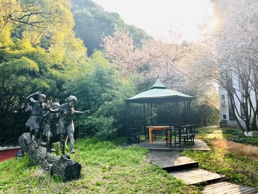 中考400多分的孩子,有没有机会上好大学?杭州这所老牌高中用实力回答,校长将做客助考直播间 第12张
