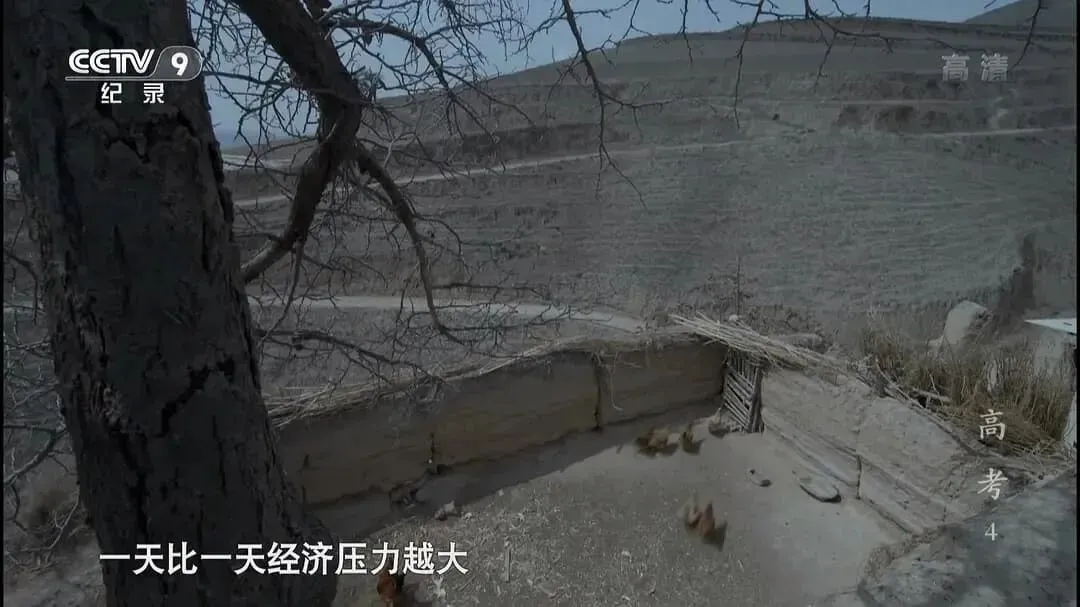 马上高考了,再看《高考》,才懂那张试卷压着多少人的明天 第5张