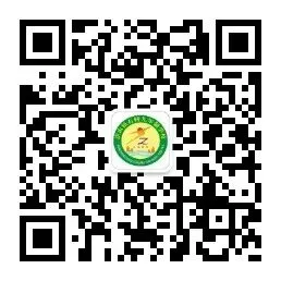 减压赋能,轻装上阵迎中考 ——汉滨区青少年活动中心走进石转九年制学校 第11张